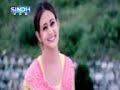 SINDHVCD