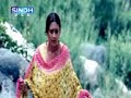 SINDHVCD