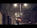Borodin: String Quartet No.2, Nocturne. Andante