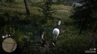 Dangers in the forest
