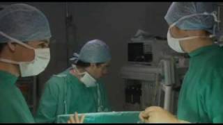 Green Wing - Accents