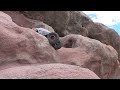 First run of the Axial XR10