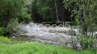 На Берегу Горной Реки. On The Shore Of A Mountain River