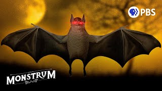 The Strange History Of Why We Fear Bats