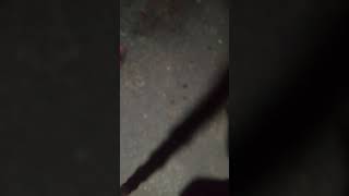 T5SuoGr1ofA Video Image
