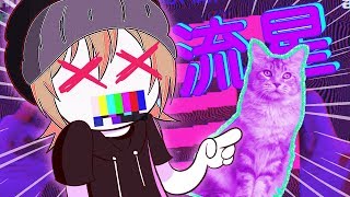 g a t o d o c ã o .