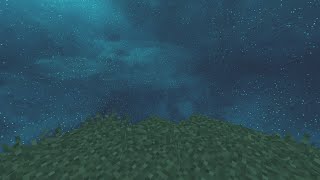 Default 16X
