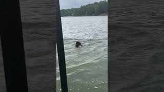 2022 Breezy And Stormy Swimming 2
