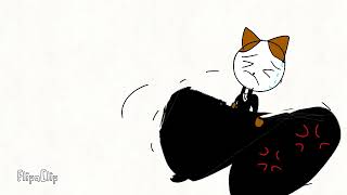 Pop Cats Pants Inflation