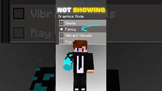 Why Vibrant Visuals Is Not Showing, Problem In Minecraft
