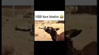 Harmanım Baba Nerde Çarşafım