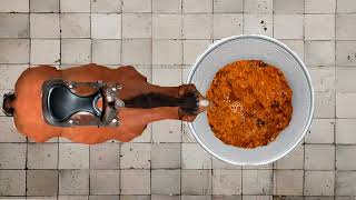 Horse Diarrhea Female