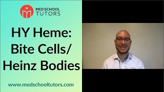 Bite Cells Heinz Bodies & High Yield Ociations Hematology For The Usmles