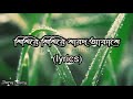 Sishire sishire sharodo akashe(শিশিরে শিশিরে শারদ আকাশে) Full Song with Lyrics||Subhamita Banerjee||