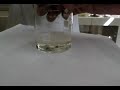 determinacao antioxidante de chas - Boldo