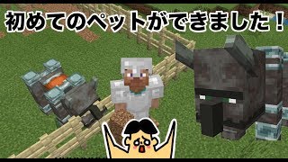 #46 ドイヒーくんのマイクラ実況「初めての襲撃イベントでペットができた・ラヴィッジャー」【ドイクラ・マインクラフト・ゲーム】