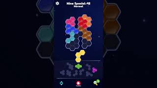 Block Hexa Puzzle Normal Nine Special-45