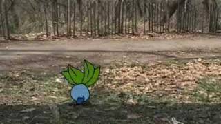 Bulbasaur and the Hidden Village
