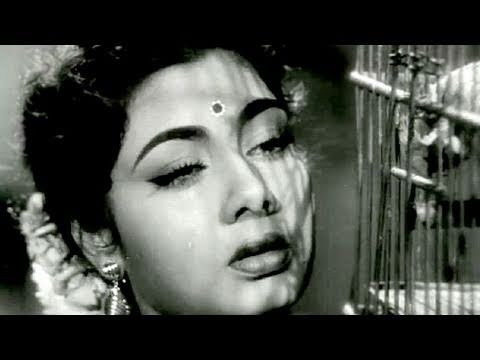 Kadar Jane Na - Nimmi Lata Mangeshkar Bhai Bhai Song