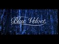 don caballero and blue velvet