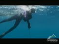 Title:Speargun hunting a GIANT yellowfin tuna Description:In this clip from Outdoor Channel's original series Speargun Hunter, Sherri Daye hunts a world-record 179lb. yellowfin tuna. Speargun Hunter can be seen exclusively on Outdoor Channel. http://www.outdoorchannel.com/Shows/SpeargunHunter.aspx