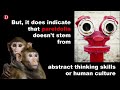 Monkeys See Faces In Things Too