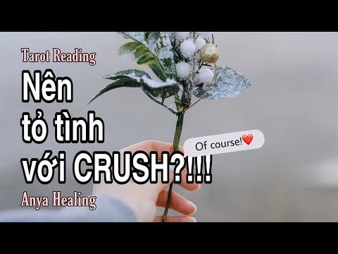 NÊN TỎ TÌNH VỚI CRUSH KHÔNG?| Anya Healing_tarot