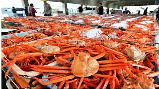 Awesome Japan Spider Crab Big Catch Modern Vessel - Crab Harvesting Net Deep Sea - Crab Factory