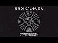 Radikal Guru ft. Troy Berkley - Higher Frequency