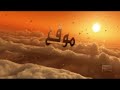 معجزة السيدة العذراء فى سالتا بالأرجنتين فبراير 2011
