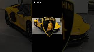 Lamborghini Logo Animation..
