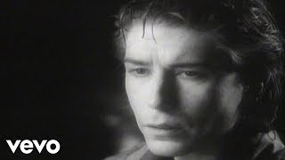 Watch Psychedelic Furs The Ghost In You video