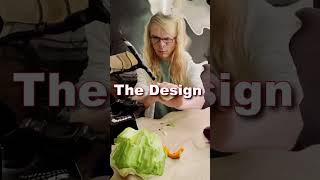 Sound Design Bts - Terrifier 3 Axe Hit, Gore Sound Effect