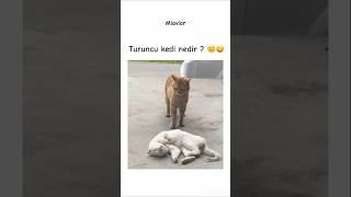 Bilmeyenlere