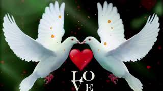 Gif .Image Love Dovemy Simple Pleasure