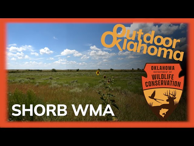 Watch Shorb WMA on YouTube.