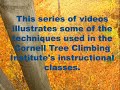 Tree Climbing: Anchoring in the Tree