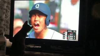 He cried when the cat watching TV