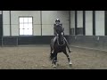 "Because now we are free to be simply us" - Grand prix dressage movements with a simple cord.