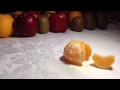 A Chi Dirò Video preview