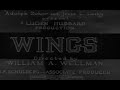 View Wings (1927)