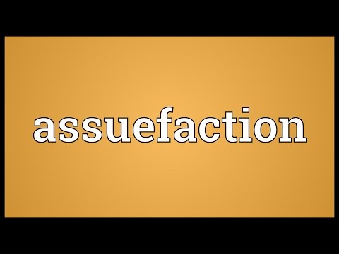 Header of Assuefaction