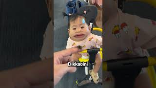 Evcil Hayvan Olarak Yaban Arısı Beslemek..