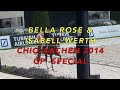 Bella Rosa and Isabelle Werth CHIO Aachen 2014 GP Special