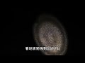 SLENDER!』手電筒遊戲!