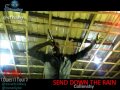 collenshy Performs at Exnel's Owerri ... collenshy Performs at Exnel's Owerri ...