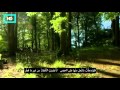 ام تزف ابنها للحور العين مؤثر جدا هذا الوصف