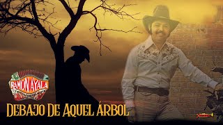 Watch Ramon Ayala Debajo De Aquel Arbol video