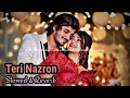 Teri Nazron Ne Kuch Aisa Jadoo Kiya | Toshi Sabri | Slowed & Reverb | Hindi Lofi Songs | Arziyan