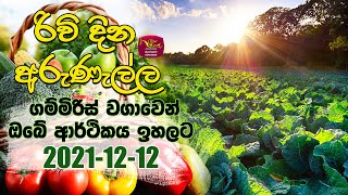 Rividina Arunella - 2021-12-12 | Rupavahini